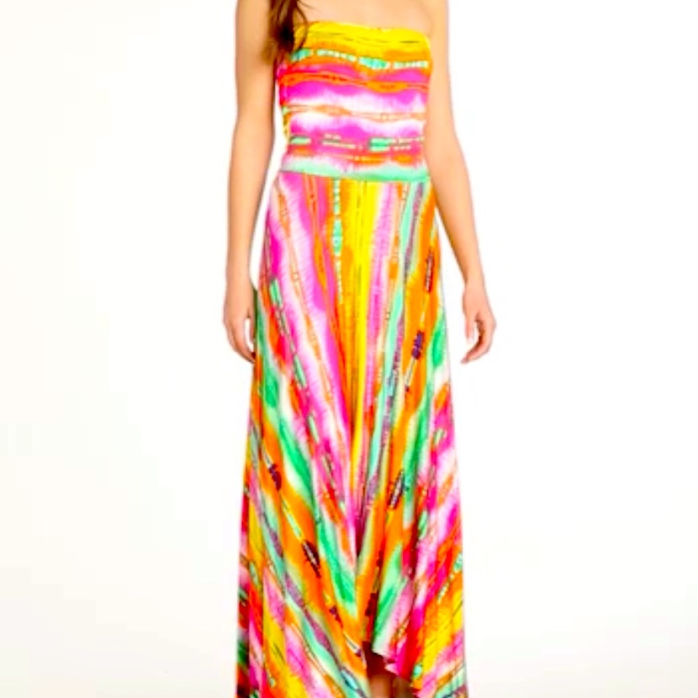 Felicity and Coco gently used dress